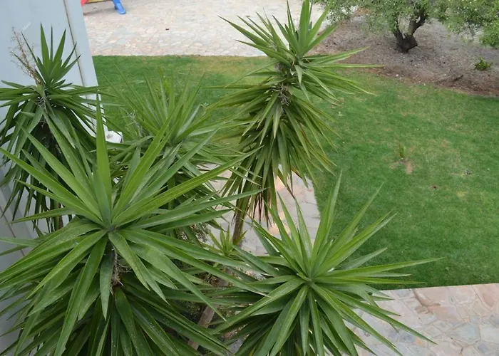 Villa Melita Seafront *