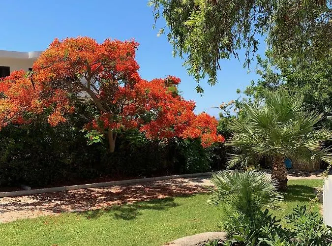 Villa Melita Seafront