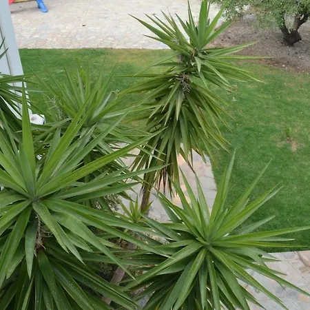 Villa Melita Seafront *