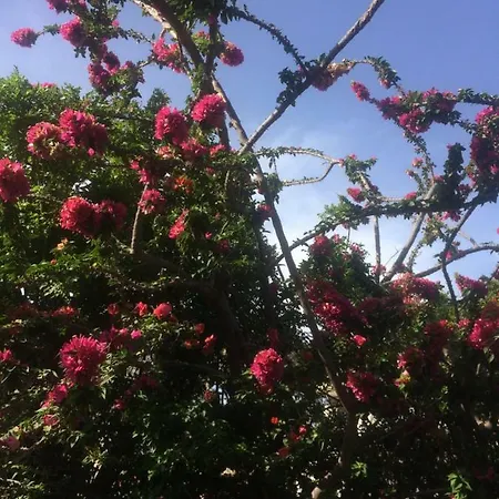 Melita Seafront Pefki