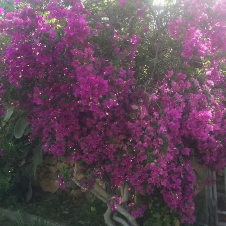 Melita Seafront Villa Pefki