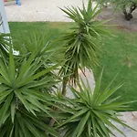 Vila Melita Seafront *