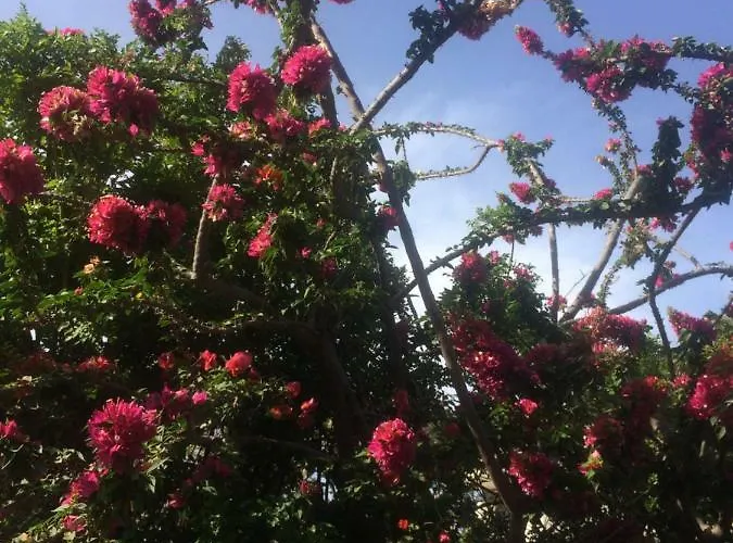 Melita Seafront Pefki (Rhodes)