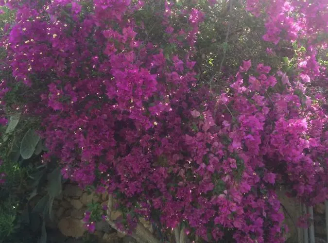 Melita Seafront 빌라 Pefki (Rhodes)